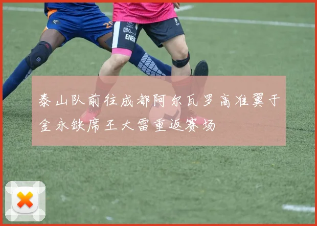 泰山队前往成都阿尔瓦罗高准翼于金永缺席王大雷重返赛场